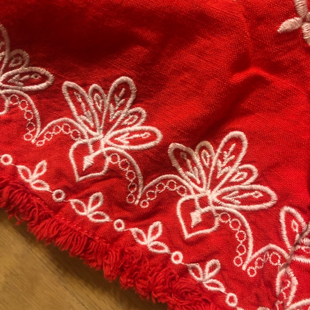 Loft Embroidered Shorts - Picture 5 of 9